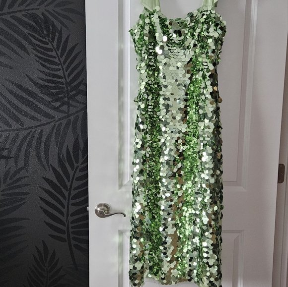 Tuckernuck Mint Roxy Sequin dress - Picture 6 of 6